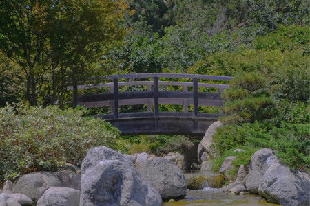 Japanese Friendship Garden