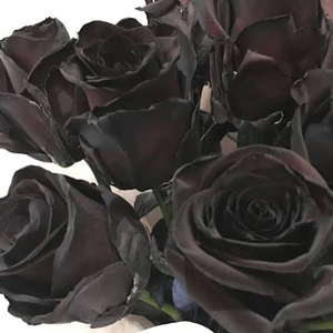 Elegant black roses adding a spooky romantic touch to The Gondola Company's A Haunting in Venice Halloween gondola cruise in Coronado