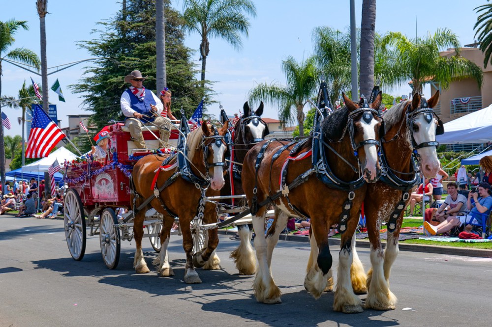 Horse-drawn carriage in the Coronado Fourth of July parade along Orange Avenue